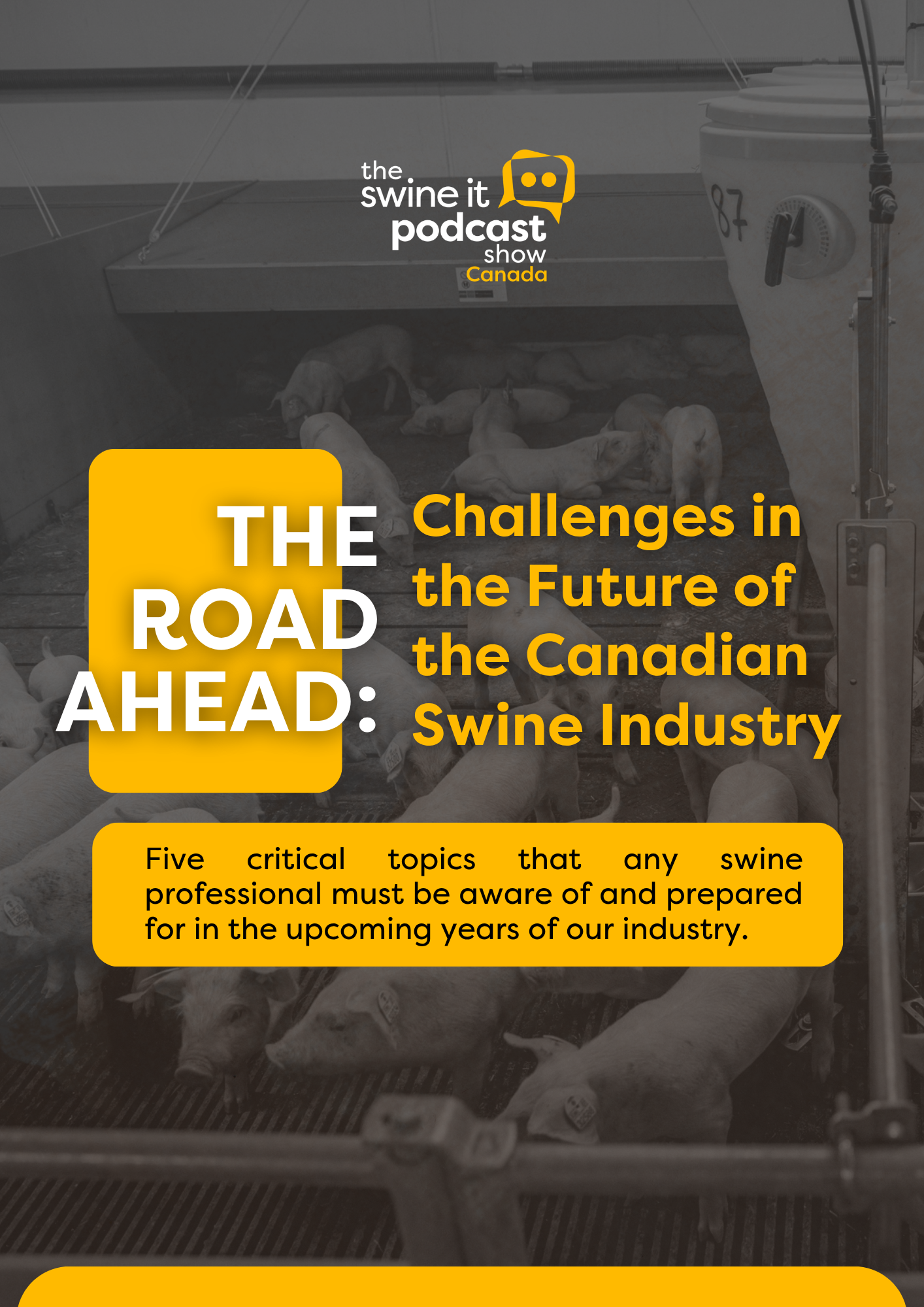 The Road Ahead: Challenges in the Future of the Canadian Swine Industry — free e-book
